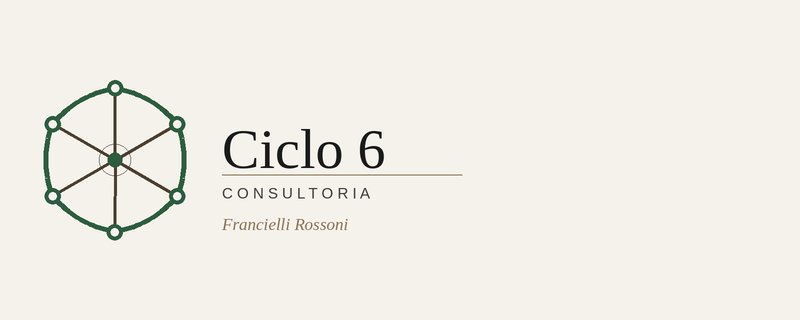 Empresa Organizada Ciclo 6